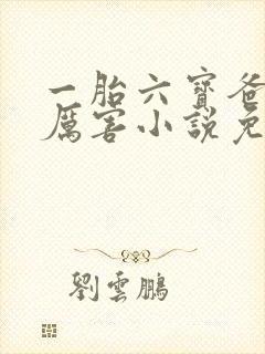 一胎六宝爸比好厉害小说免费阅读