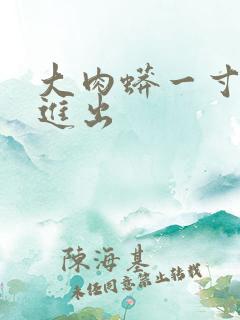 大肉蟒一寸一寸进出