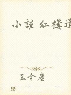 小说 红楼遗秘