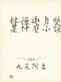 林恒邀月双胞胎是什么小说