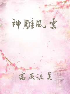 神雕风云