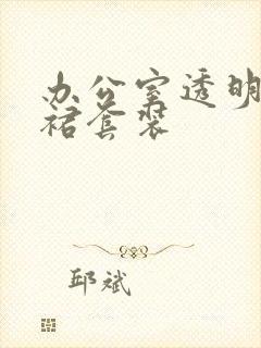 办公室透明半身裙套装