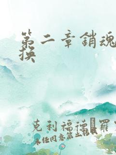 第二章销魂的交换