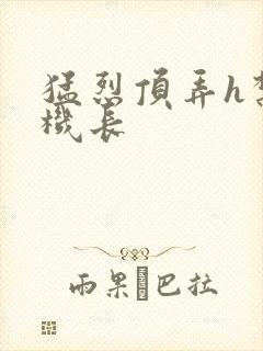 猛烈顶弄h禁欲机长