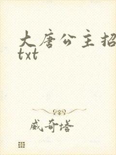 大唐公主招亲记txt