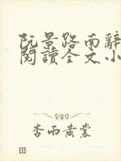 阮景路南辞免费阅读全文小说