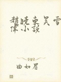 赵晓东吴雪晴郑伟小说