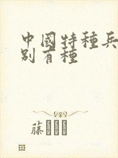 中国特种兵之特别有种