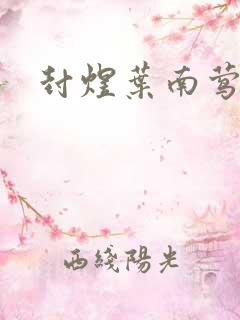 封煜叶南莺小说