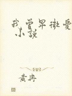 我曾卑微爱过你 小说