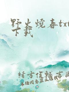 野火烧春txt下载