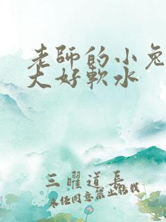 老师的小兔子好大好软水