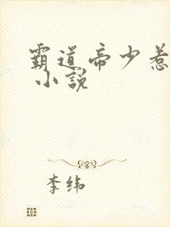 霸道帝少惹不得 小说