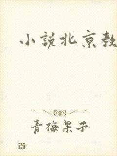 小说北京教父