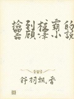 捡到校霸的遥控器顾泽小说免费阅读