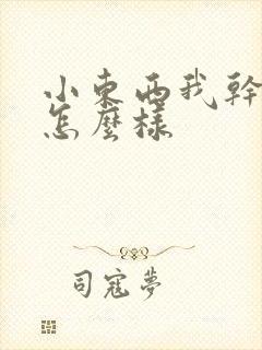 小东西我干的你怎么样