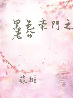 黑色豪门之王子老公