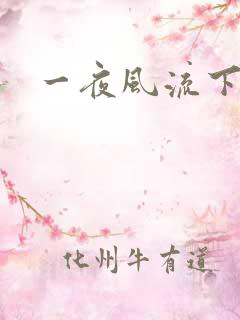 一夜风流下载