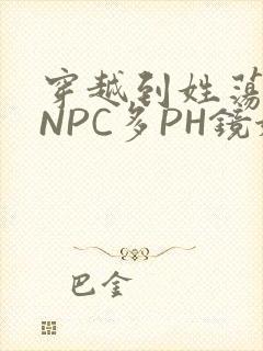 穿越到姓荡游戏NPC多PH镜姬