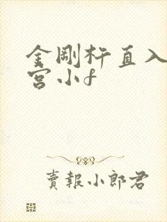 金刚杵直入莲花宫小f