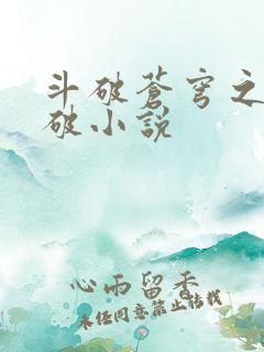 斗破苍穹之虚空破小说