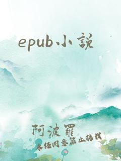 epub小说