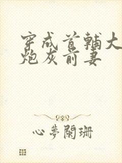 穿成首辅大人的炮灰前妻