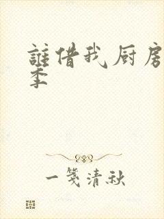 谁借我厨房第二季