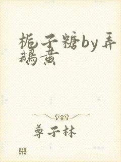 栀子糖by弄白鹅黄