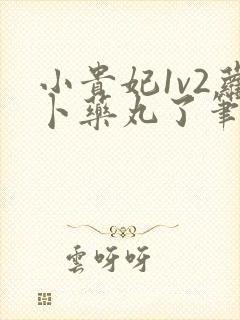 小贵妃1v2萝卜药丸了笔趣阁