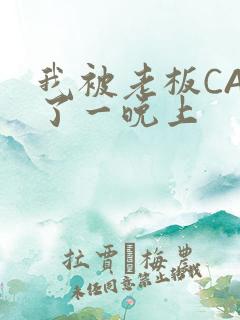 我被老板CAO了一晚上