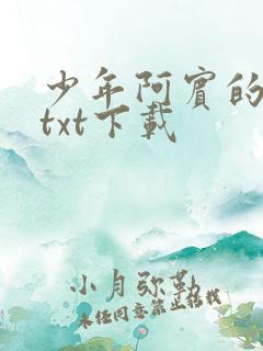 少年阿宾的故事txt下载