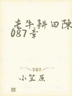 老牛耕田陈雪1087章
