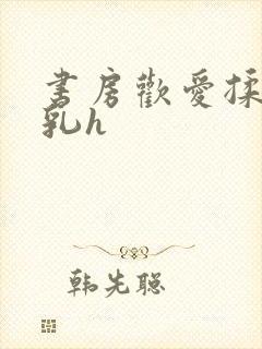 书房欢爱揉捏娇乳h