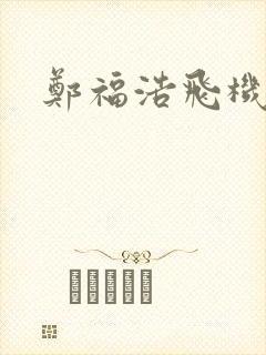 郑福浩飞机坠海