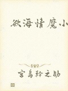 欲海情魔小说