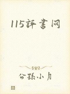 115评书网