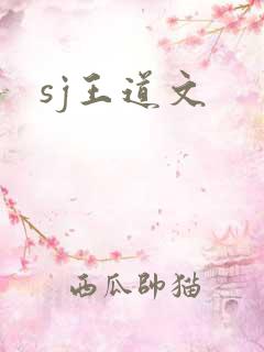 sj王道文
