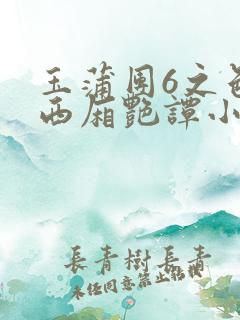 玉蒲团6之色情西厢艳谭小说