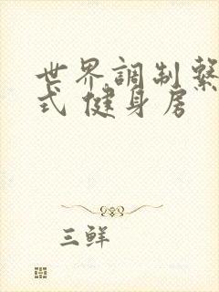 世界调制系统模式 健身房