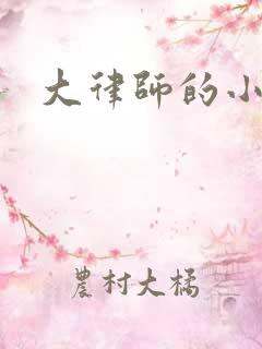 大律师的小老婆