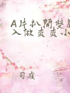 A片扒开双腿进入做爽爽小说