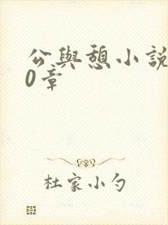 公与憩小说400章