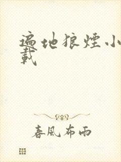 遍地狼烟小说下载