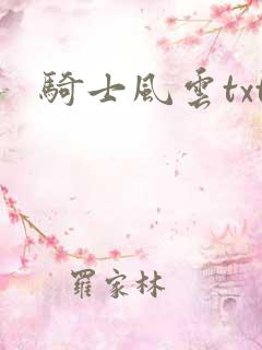 骑士风云txt