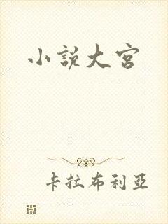 小说大宫