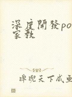 深度开发pop家教