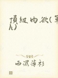 顶级肉欲(军高h)