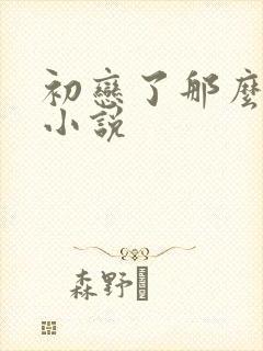 初恋了那么多年小说