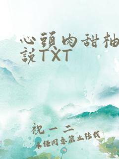 心头肉甜柚子小说TXT